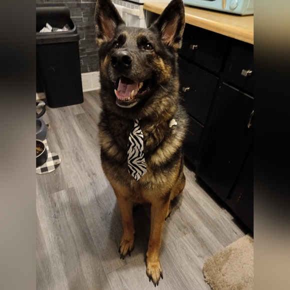 Unlisted Items for LIVE shows - Picture 7 of 11